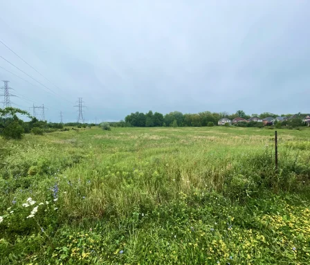 Site location at 311 Staines Road